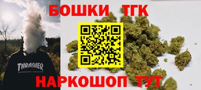 гашик Аргун