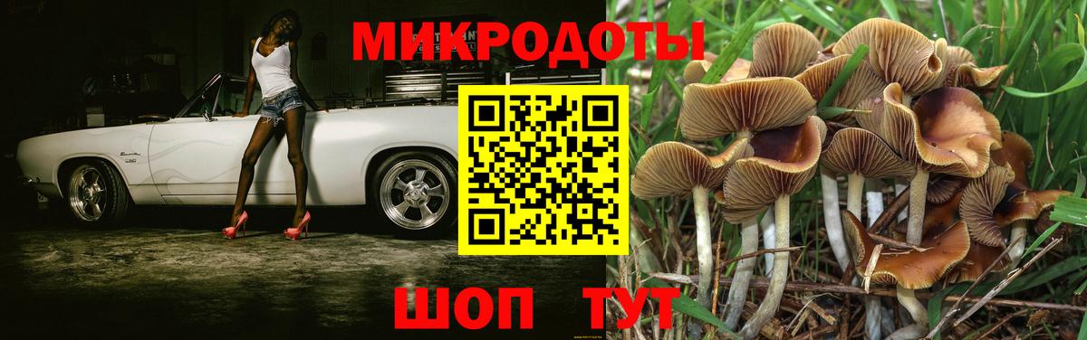 Галлюциногенные грибы Psilocybine cubensis  Вход с VPN  Артём 