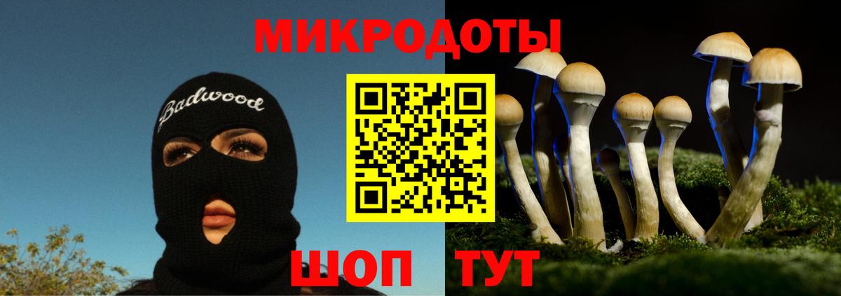 Галлюциногенные грибы Psilocybe Артём